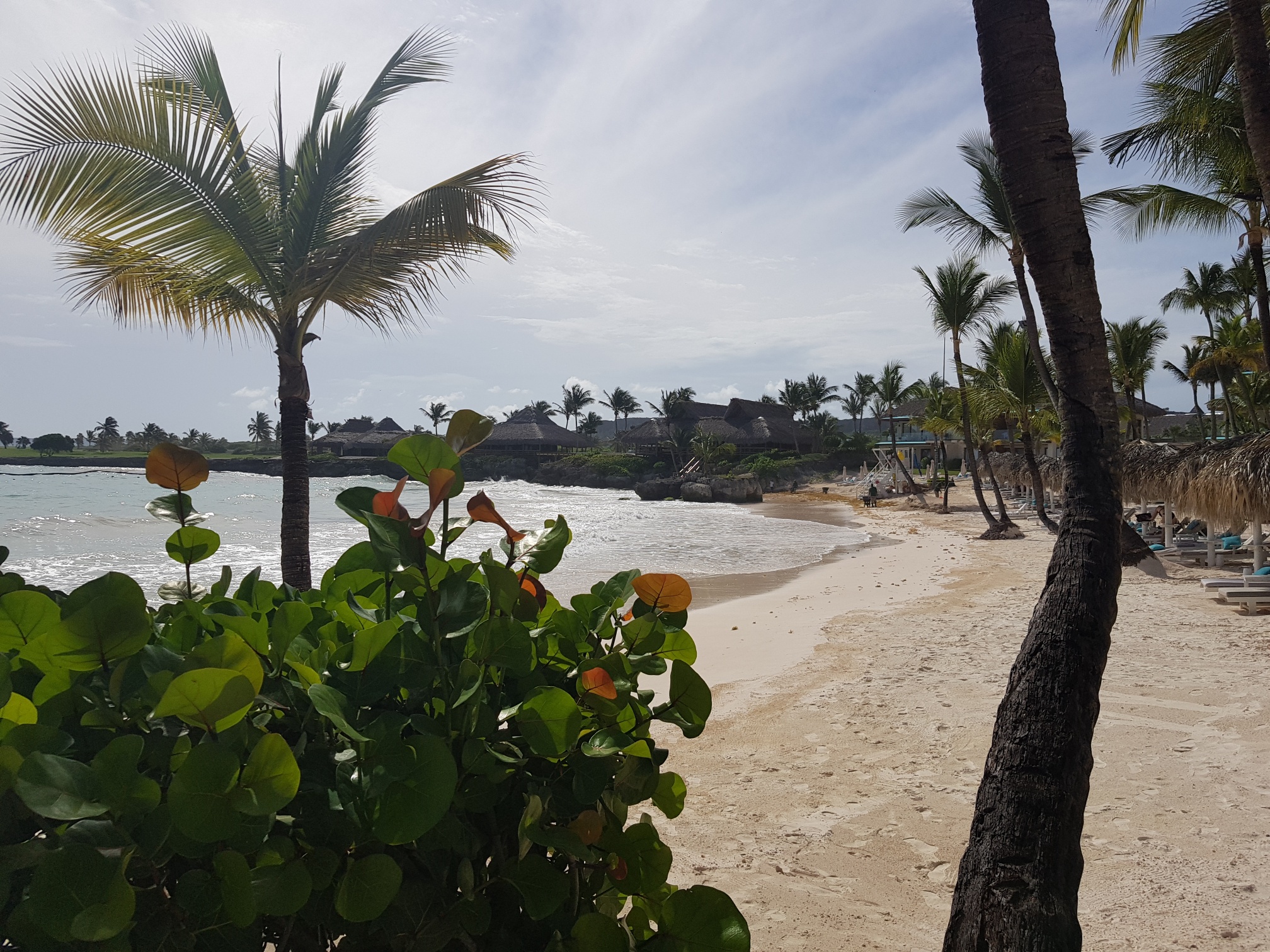 Caribbean beach